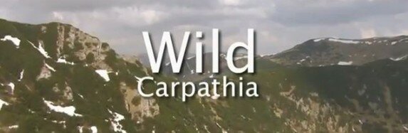 Wild Carpathia