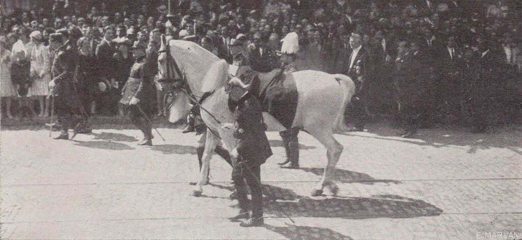 King Ferdinand's horse , following the herse