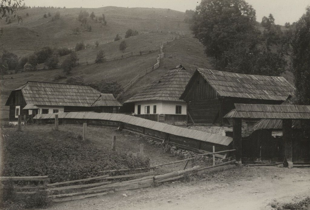 Bucovina , rural view