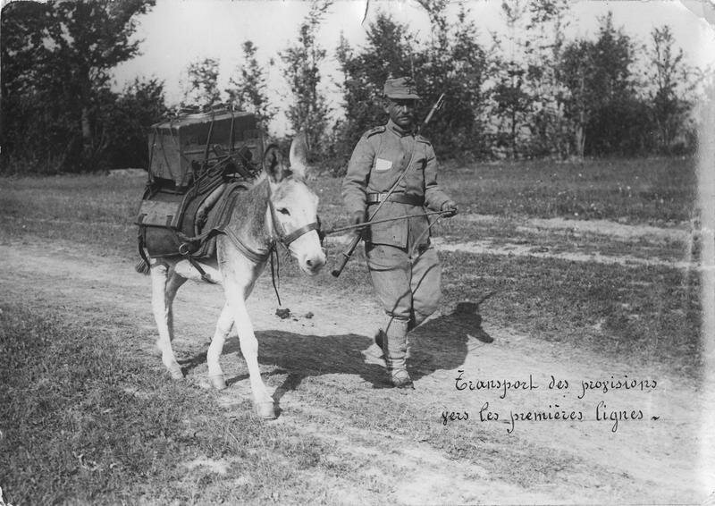 Transport supplies to the front lines with a donkey