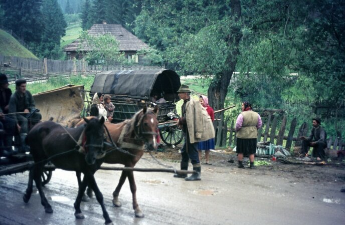 Near Borşa. Gypsy with his wagon at the collection of empty bottles