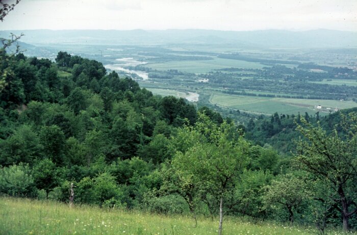 Tisa valley near Sighet