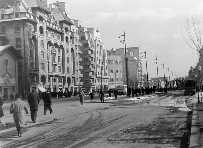 1958 Vasile Conta Street 
