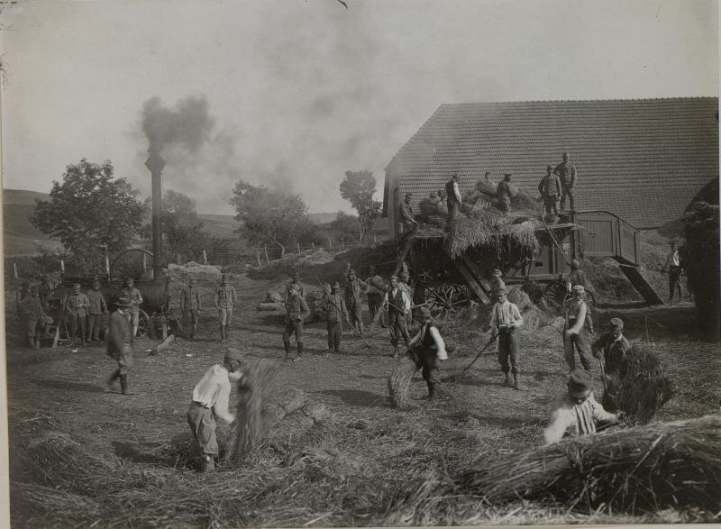 Soldiers during threshing , 1916