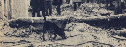 1977 Vrancea earthquake